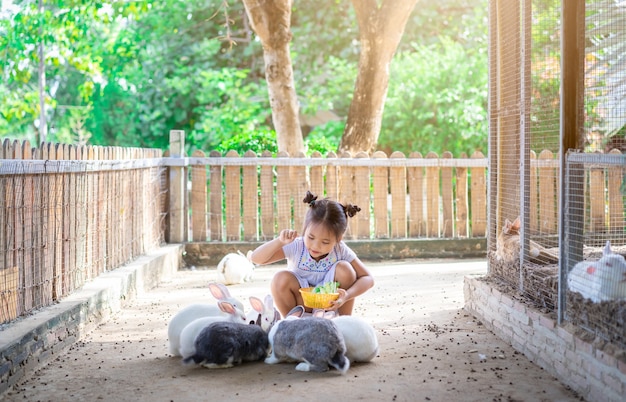 かわいい小さなアジアの女の子が農場でウサギに餌をやる