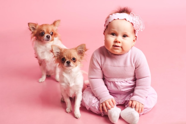 Cute little baby girl posing with chihuahua pet dog