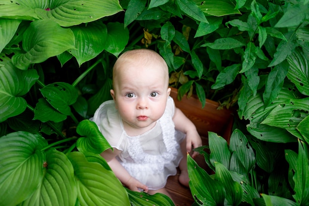 나뭇잎에 앉아 귀여운 작은 아기
