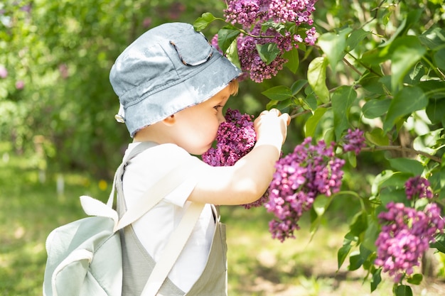 Cute little blonde hair boy enjoying lilac flowers bush in blooming garden, springtime. Seasonal kid allergy.