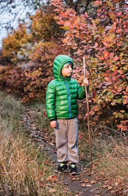 Cute little boy in autumn forest