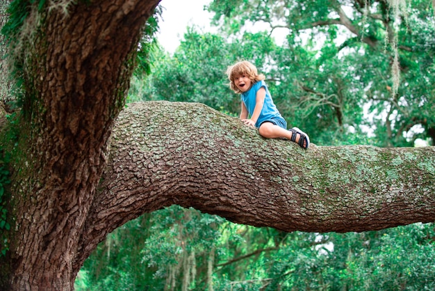 Cute little boy child sitting on the tree branch