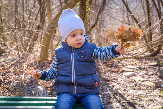 Cute little boy enjoying the beautiful nature of the forest on a warm autumn day