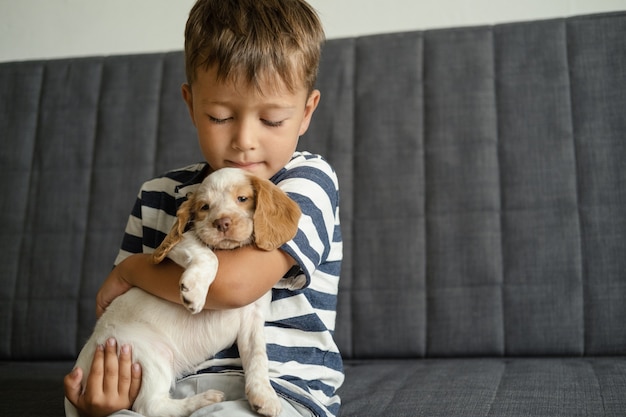 Cute little boy hold russian spaniel red and white puppy dogs face on white blanket. Pets care and friendly concept. Love and friendship between human and animal.