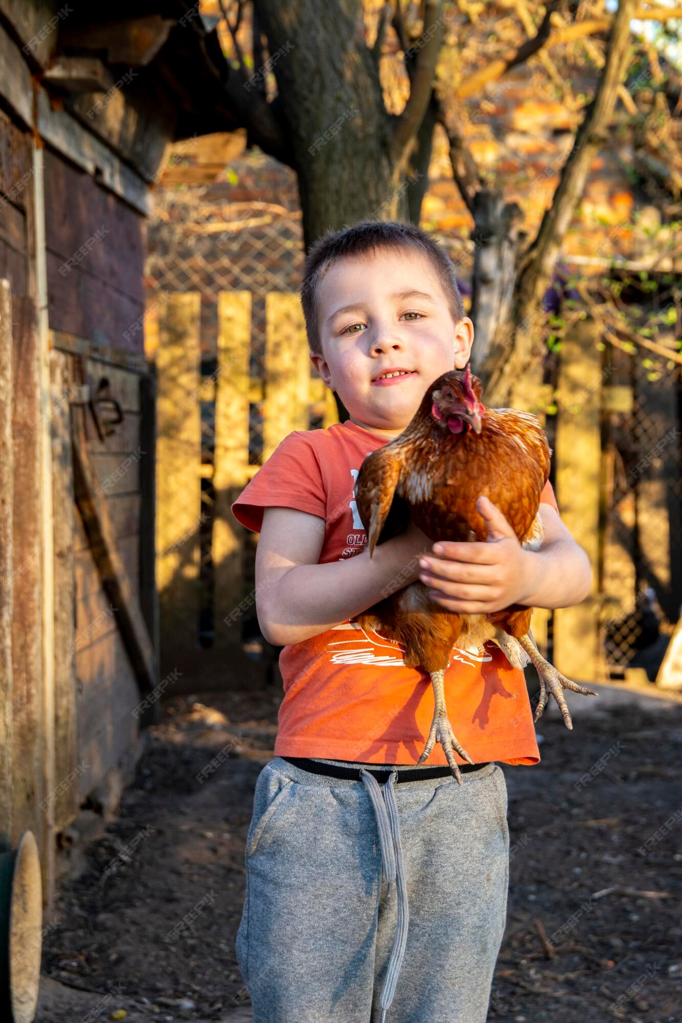 Premium Photo | Cute little boy a chicken in his hands. photographed in a village on a sunny spring day. vertical picture.