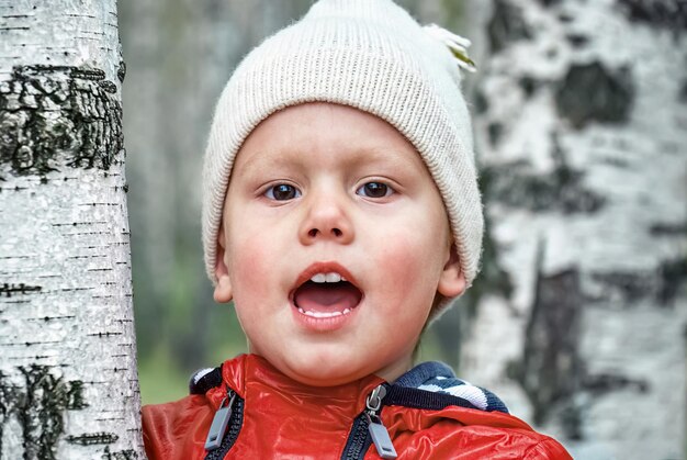 Cute little boy in knitted hat and jacket stands near birch tree in forest in autumn