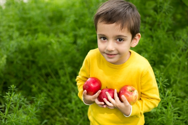 Cute little boy picking apples in a green grass background at sunny day