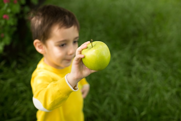 Cute little boy picking apples in a green grass background