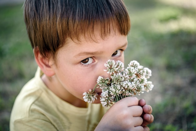 Cute little boy smelling white clover flowers, picking flowers in the summer, summer children outdoor activity