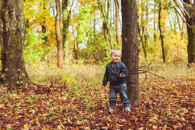 Cute little boy standing near the tree in autumn forest. Boy playing with a knight