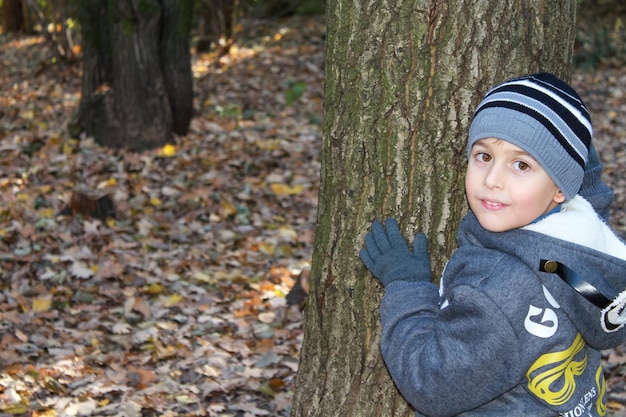 Cute little boy standing near the tree in autumn forest