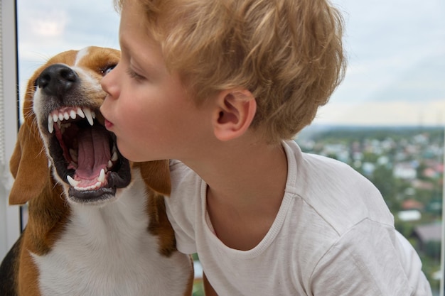 Милый маленький мальчик пытается поцеловать собаку в нос, собака рычит и скрипит зубами Недовольная собака отворачивается от детских поцелуев
