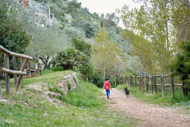 Ragazzino carino, che cammina con il suo cagnolino nel campo di colza rurale accanto a lui, ragazzo che cammina su un piccolo sentiero