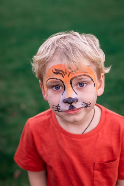 Cute little boy with his face painted