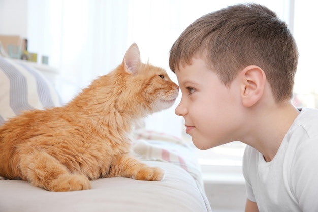 家で赤い猫とかわいい男の子