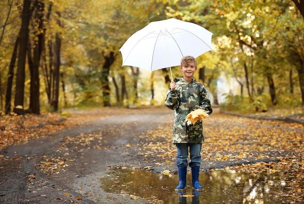 Cute little boy with umbrella in autumn park