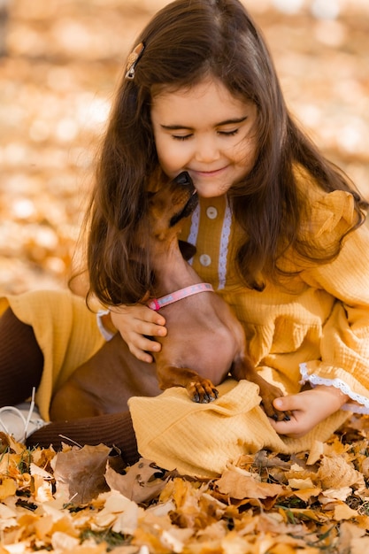 可愛い小さな茶色の女の子が秋に公園でダックシュンドの犬と歩いています