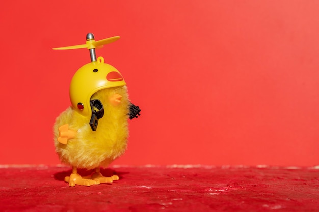 Cute little chick in a helmet is alone on a red background