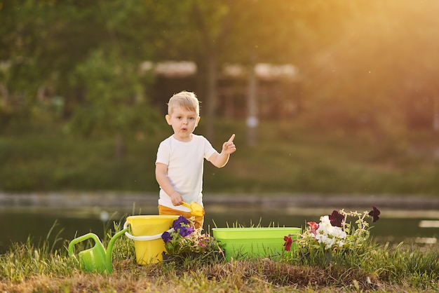 夕日の庭の鍋に花の苗に水をまくかわいい子男の子。楽しい小さな庭師。春のコンセプト、自然とケア。