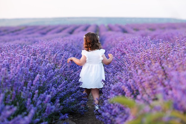귀여운 어린 소녀는 흰 드레스를 입고 꽃이 만발한 라벤더 밭에서 산책을 합니다. 여름 방학