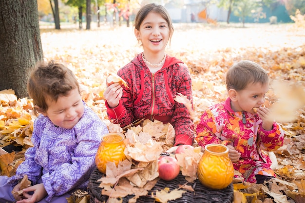 Cute little children are walking in the park and eating breakfast as sitting on yellow maple leaves