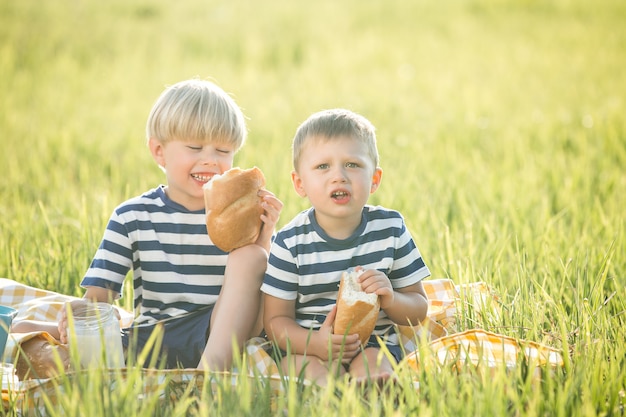 Cute little children at a picnic on a meadow