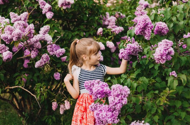 Cute little girl in dress laughing in spring park near lilac child smells lilac