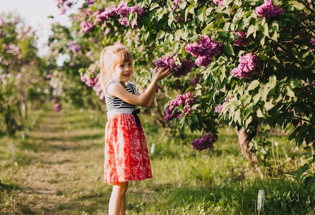 Cute little girl in dress laughing in spring park near lilac child smells lilac