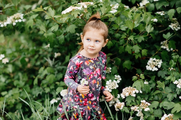 Cute little girl in a flower garden