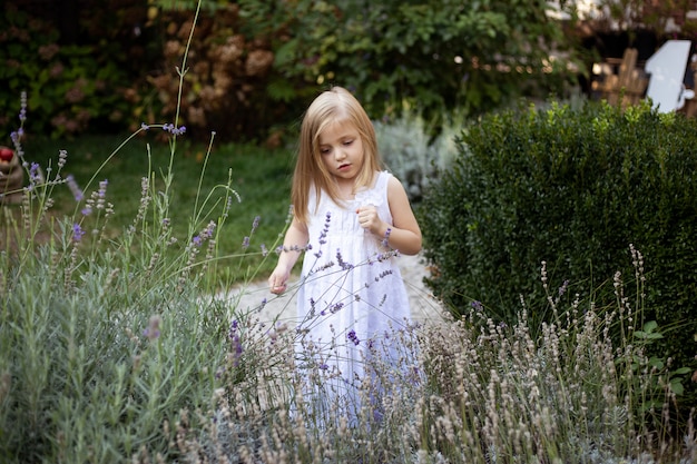 Cute little girl having fun in lavender