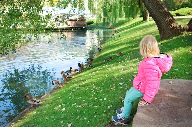 Cute little girl looking at ducks in petting zoo