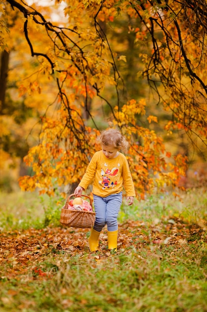 Cute little girl picking apples in a green grass background at sunny day