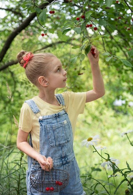 귀여운 소녀가 체리 정원에 있는 나무에서 체리를 따다