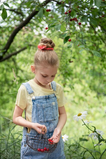 Cute little girl picks a cherry from a tree in cherry garden