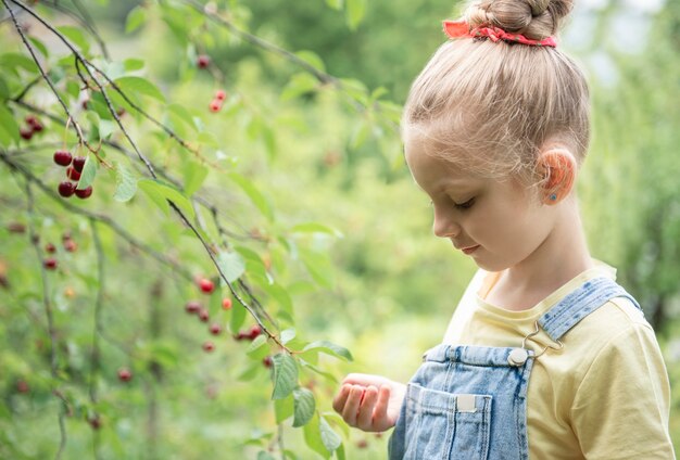 Cute little girl picks a cherry from a tree in cherry garden