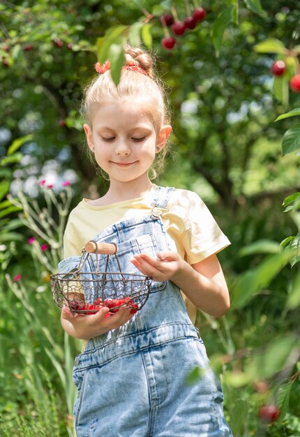 Cute little girl picks a cherry from a tree in cherry garden