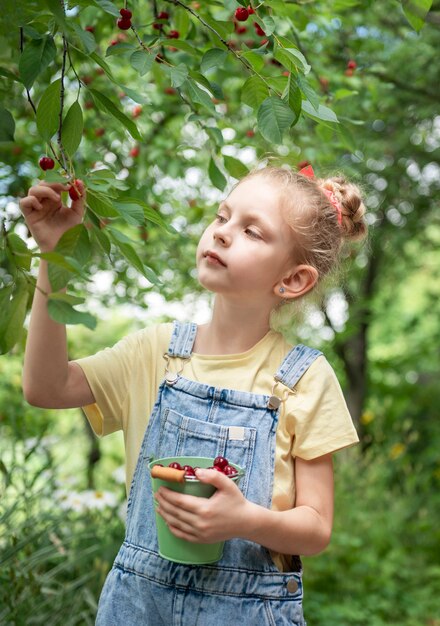 Cute little girl picks a cherry from a tree in cherry garden