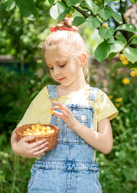 Cute little girl picks a sweet cherry from a tree in cherry garden