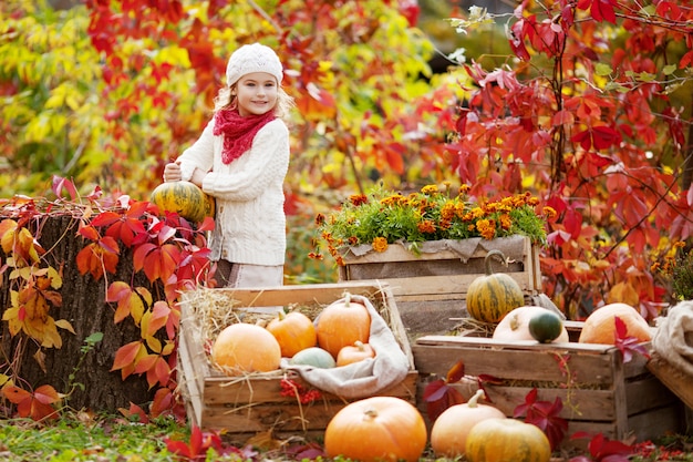 Cute little girl playing with pumpkins in autumn park. Autumn activities for children