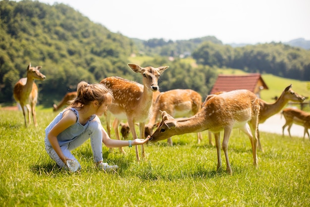 Милая девочка среди стада оленей в солнечный день