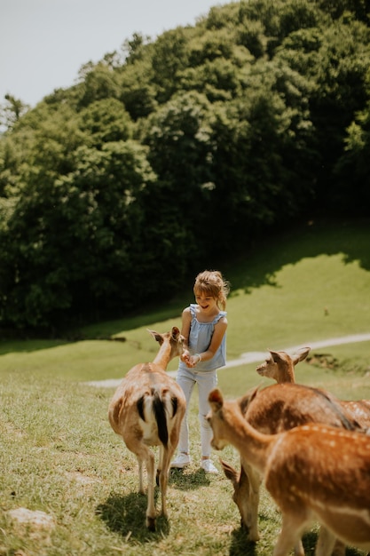 Cute little girl among reindeer herd on the sunny day