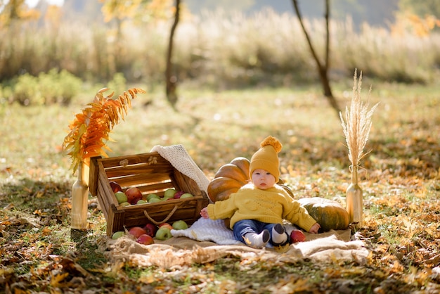 Cute little girl sitting on pumpkin and playing in autumn forest