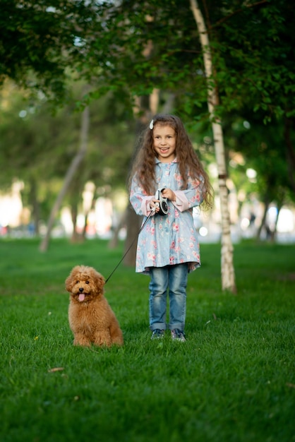 A cute little girl on a walk with toy poodle dog.