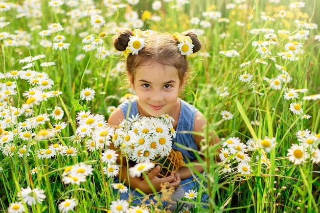 ヒナギクの花束を持つかわいい女の子は、晴れた日にヒナギクのある野原に座っています。クローズ アップ