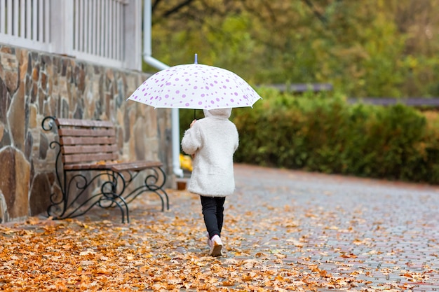 Bambina sveglia con un ombrello nel parco di autunno