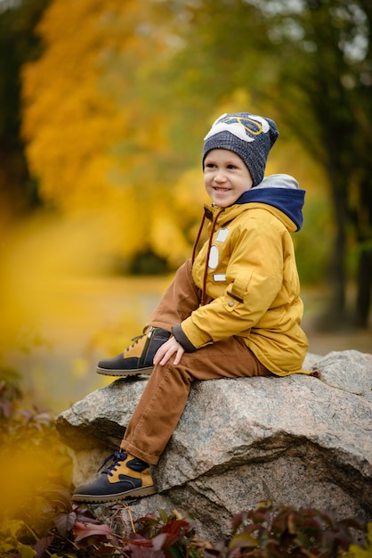 秋の日のかわいい子供男の子。カラフルな紅葉服の幼児