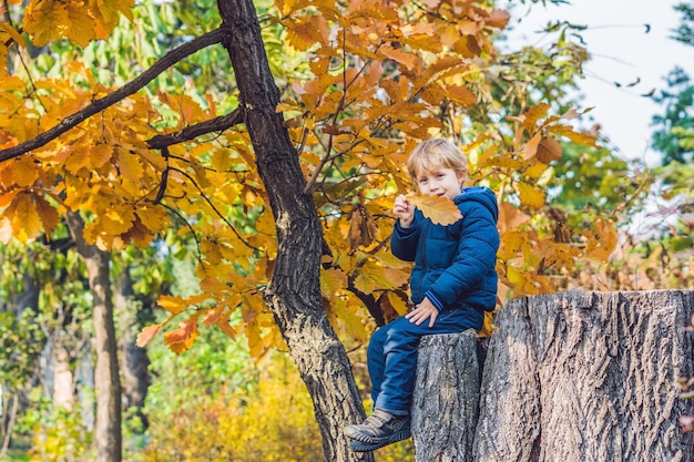 Cute little kid boy enjoying autumn day. Preschool child in colorful autumnal clothes learning to climb, having fun in garden or park on warm sunny day