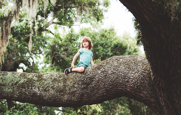 Cute little kid boy enjoying climbing on tree