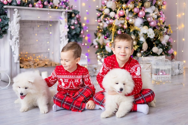 Cute little kids boys with white dogs puppies near the Christmas tree, holiday concept, New year