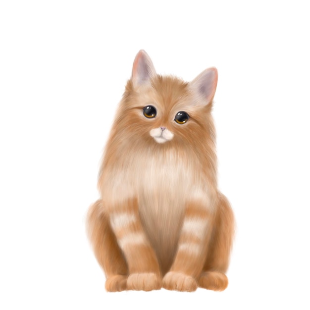 cute little kitten hand drawn realistic illustration